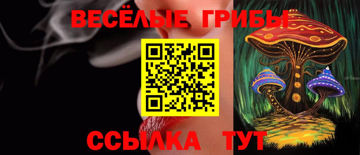 Зеленодольск  Псилоцибиновые грибы MAGIC MUSHROOMS  Вход с VPN 